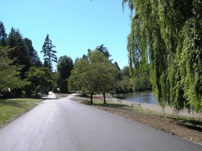 Featured image for “Laying Asphalt in Stanley Park”