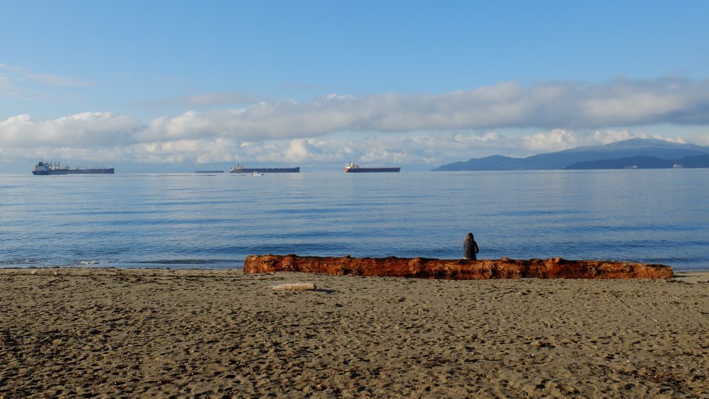 Featured image for “Free Webinar: Decolonizing the Shoreline”